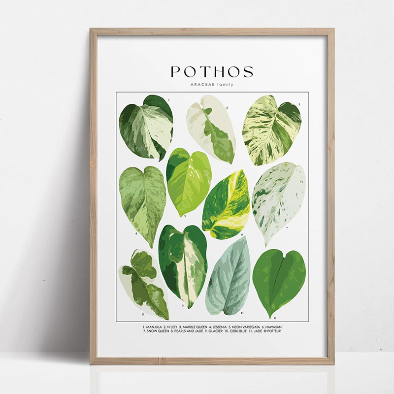 1pc Modern Houseplants Leaves  - огляд і ціна Art Craft House